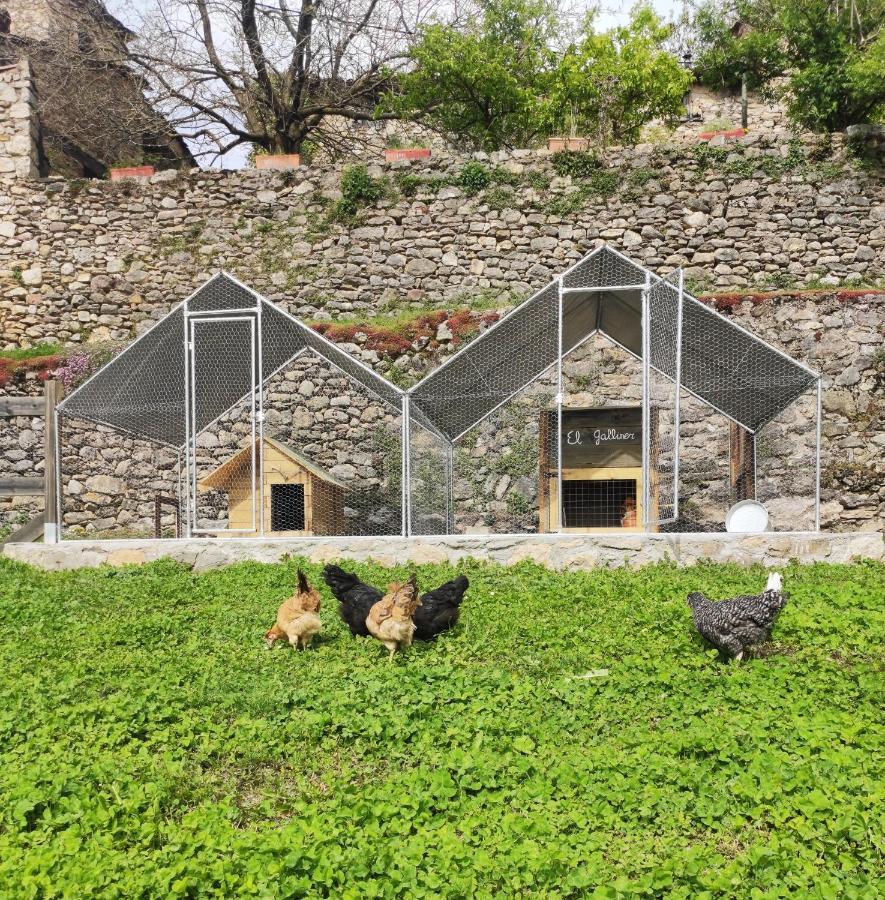 Hostal Moline Bruguera 외부 사진